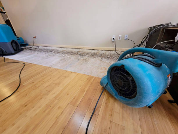 Reliable Basement Flood Cleanup contractor in Clinton, WA by Hirex Water Damage