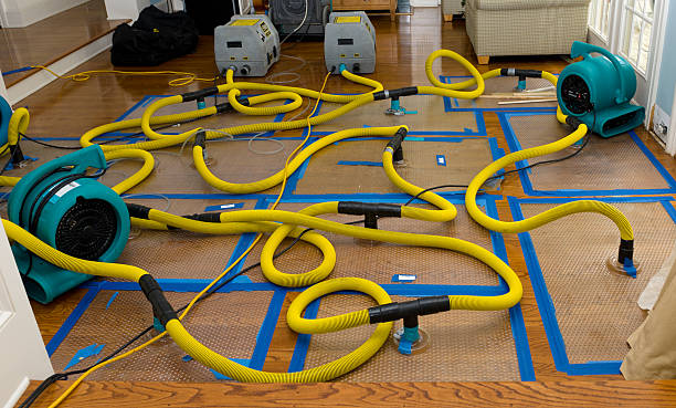 Professional Basement Flood Cleanup technician working in Clinton, WA